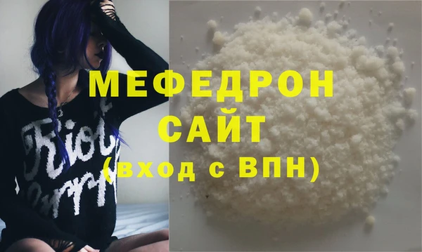 индика Козельск