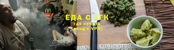 индика Козельск