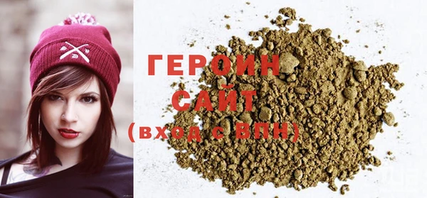 индика Козельск